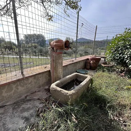 Alfredo's House شقة